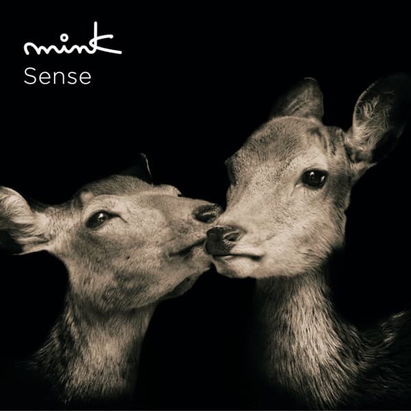 Album cover art for Sense~premium~ - EP