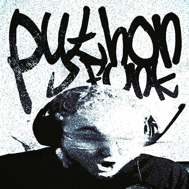 Album cover art for PYTHON FUNK