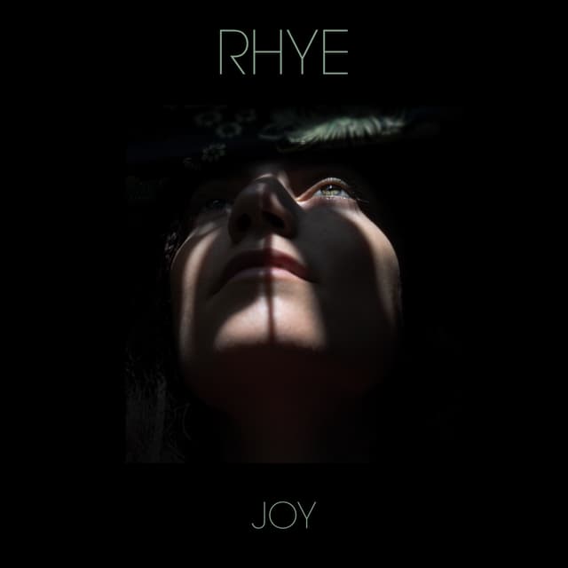 Album cover art for JOY