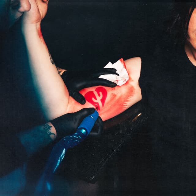 Album cover art for Sundressed