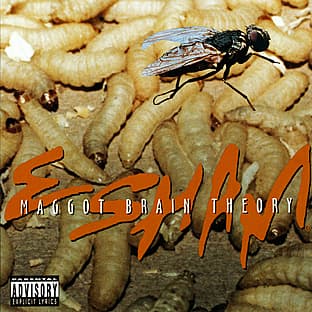 Album cover art for Maggot Brain Theory