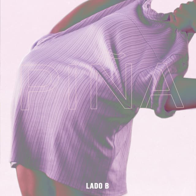 Album cover art for Piña