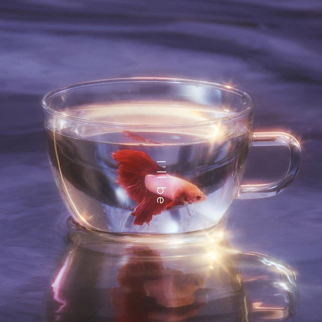 Album cover art for I'll be