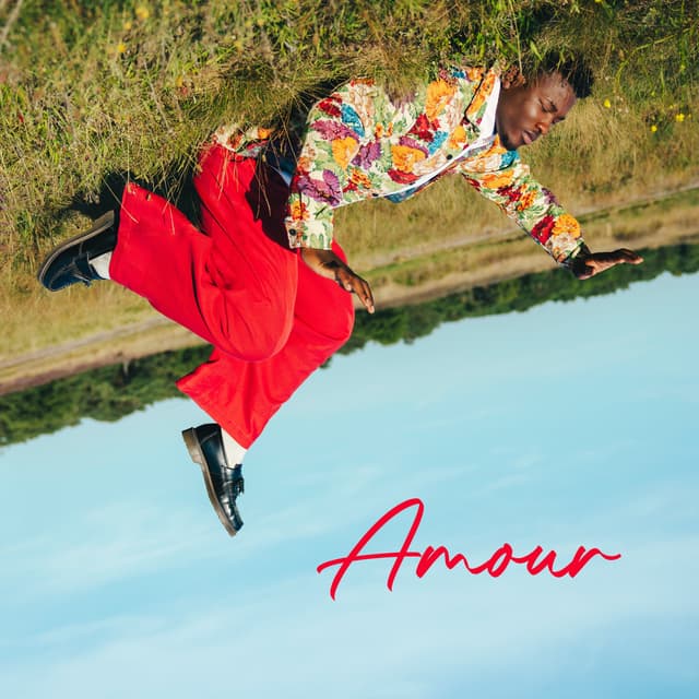 Album cover art for Amour