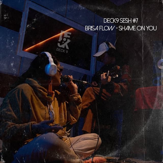 Album cover art for Sesh #7 - Shame on You