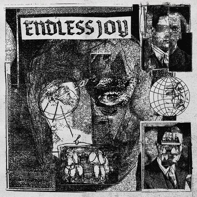 Album cover art for Endless Joy