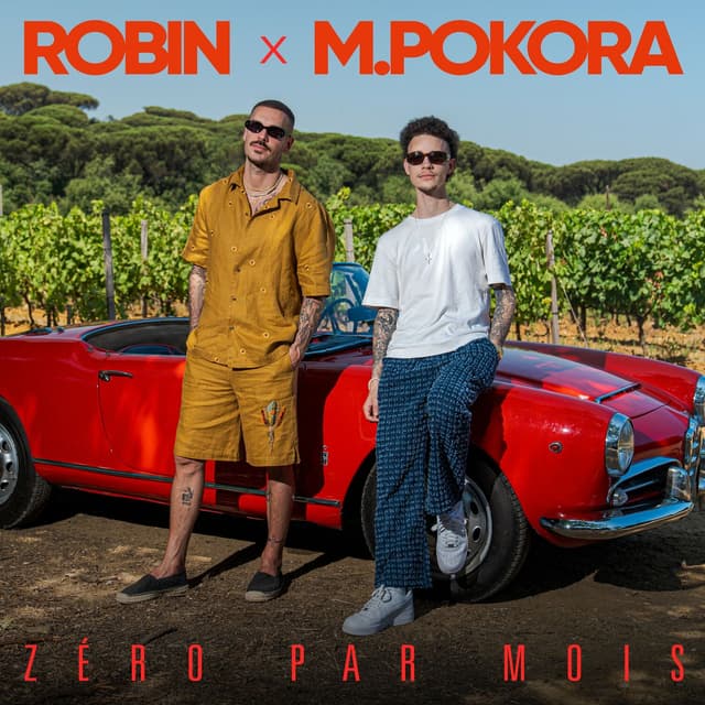 Album cover art for Zéro par mois