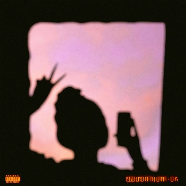 Album cover art for OK
