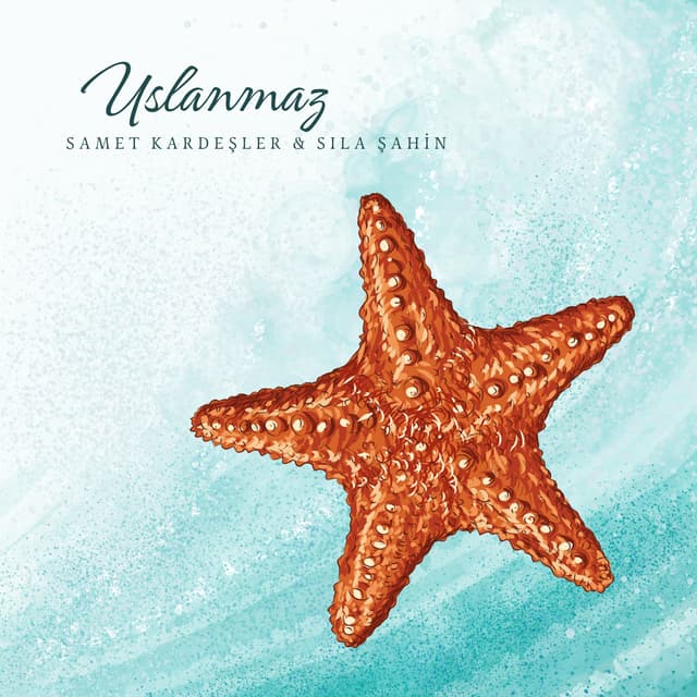 Album cover art for Uslanmaz