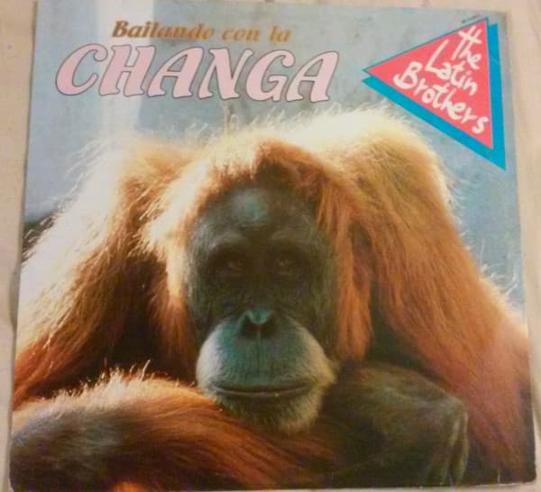 Album cover art for Bailando con la Changa