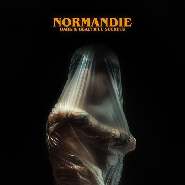 Album cover art for Dark & Beautiful Secrets