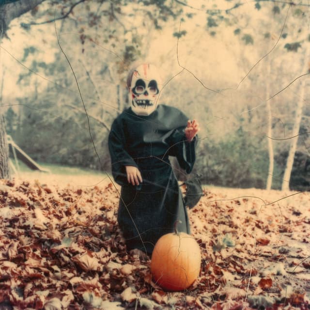 Album cover art for Never Die