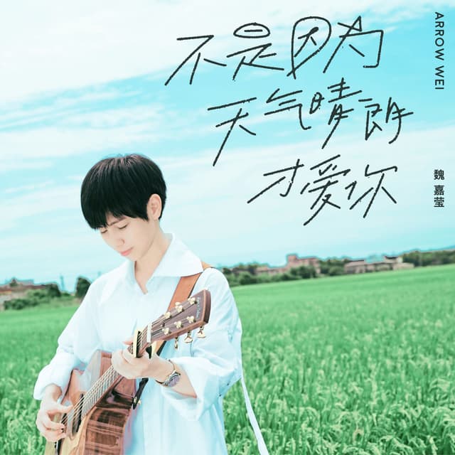 Album cover art for 不是因為天氣晴朗才愛你