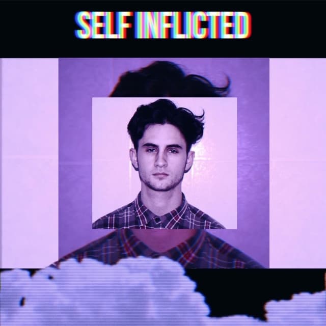 Album cover art for Self-Inflicted