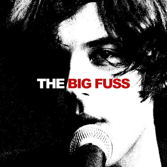 Album cover art for The Big Fuss