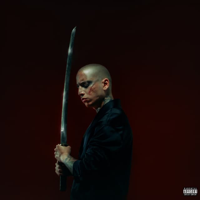 Album cover art for YSIVII