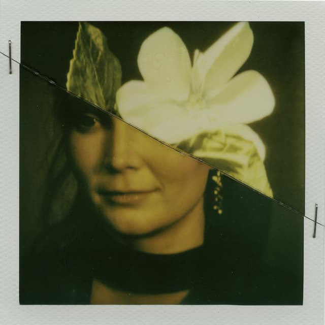 Album cover art for Voyage