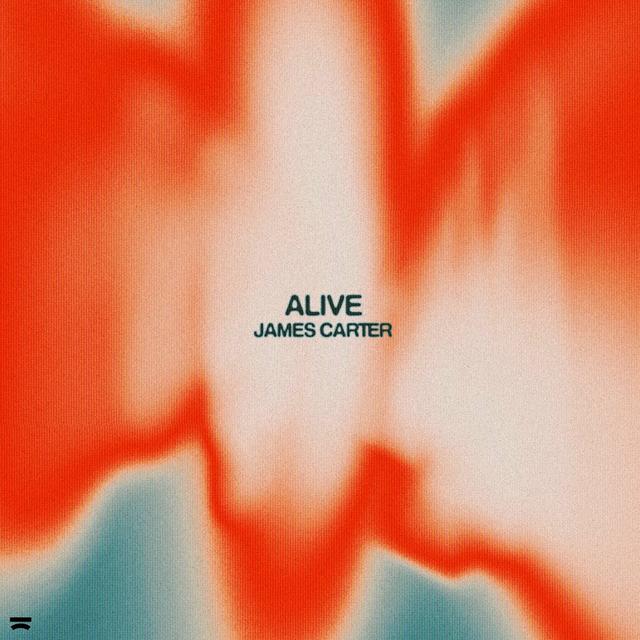 Album cover art for Alive