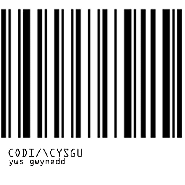 Album cover art for Codi/\Cysgu