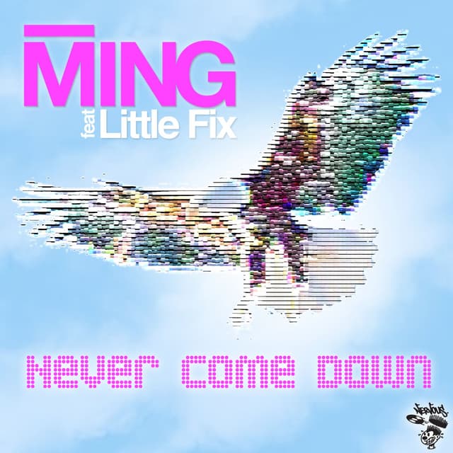 Album cover art for Never Come Down