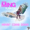 Never Come Down [Alexander Technique Instrumental]