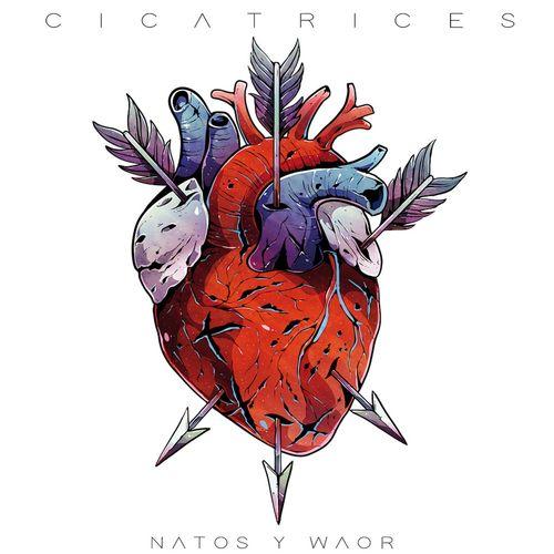 Album cover art for Cicatrices