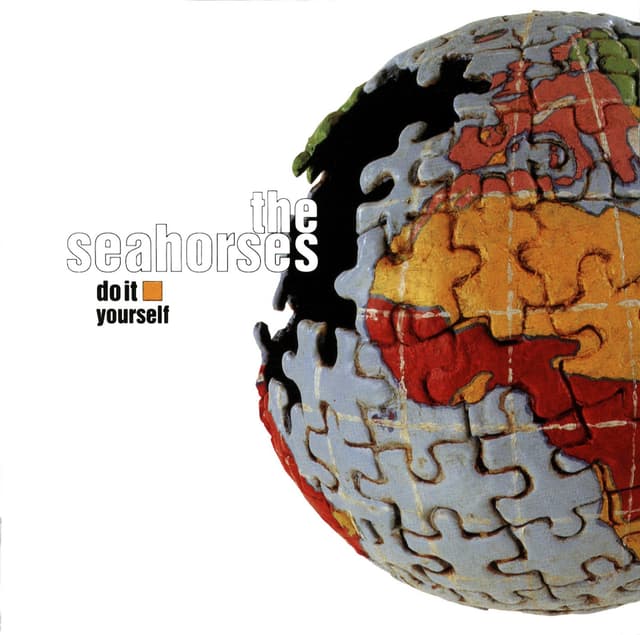 Album cover art for Do It Yourself