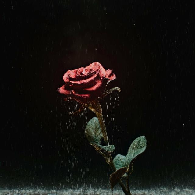 Album cover art for Dert Etme