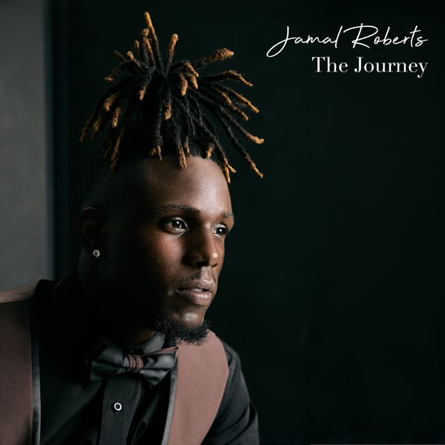 Album cover art for The Journey
