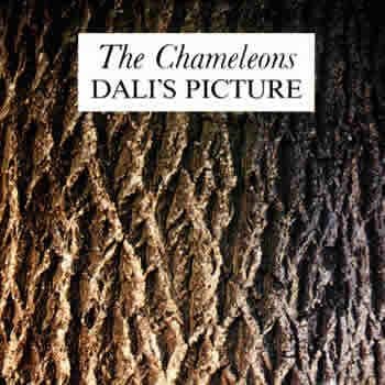 Album cover art for Dali's Picture