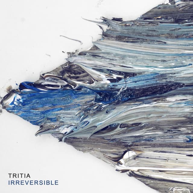 Album cover art for Irreversible