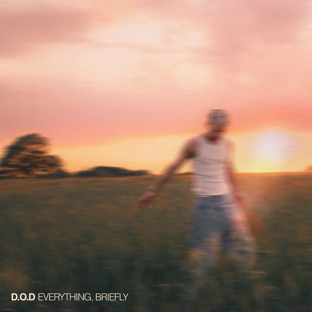 Album cover art for Everything, Briefly