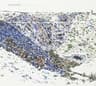 100 Years Ago