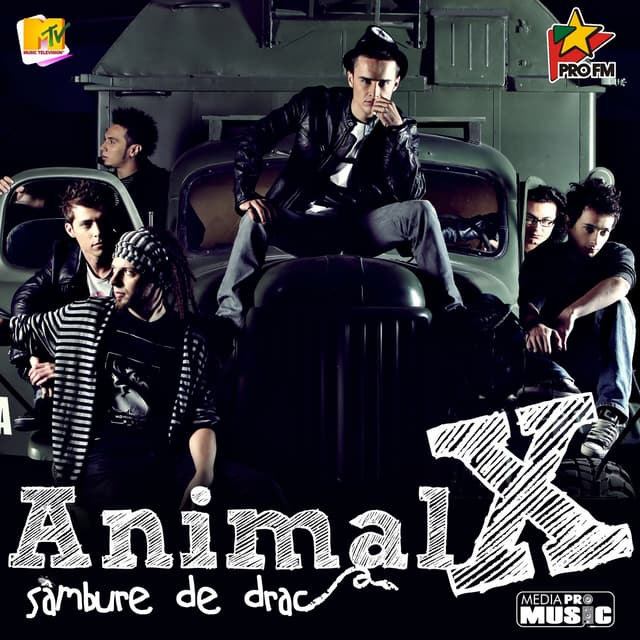 Album cover art for Sâmbure De Drac