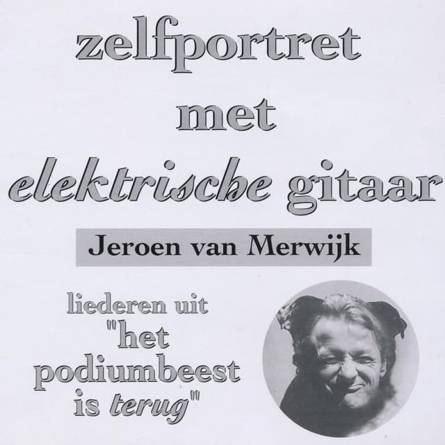 Album cover art for Zelfportret met elektrische gitaar