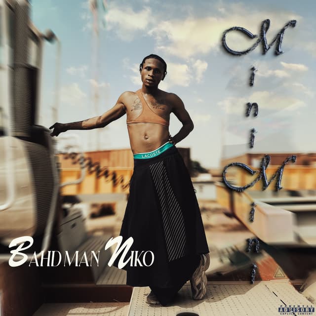 Album cover art for Mini Mini