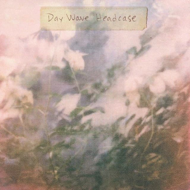Album cover art for Headcase