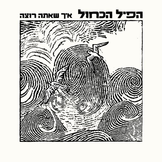 Album cover art for איך שאתה רוצה