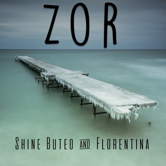 Album cover art for Zor