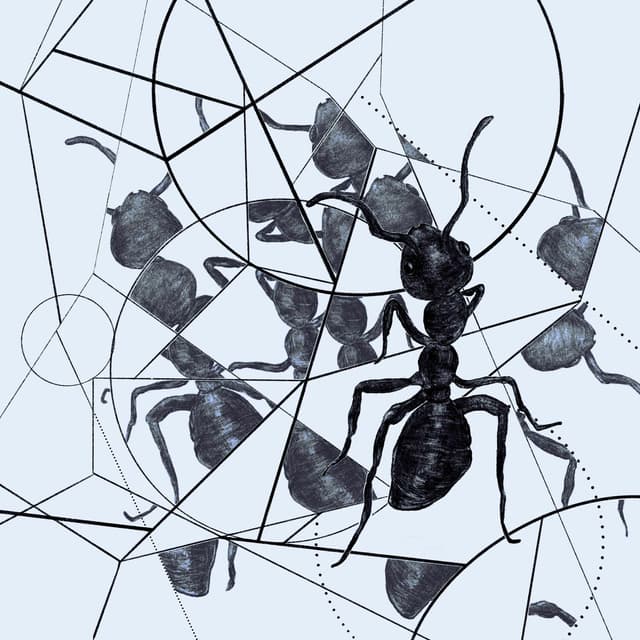 Album cover art for Mosaic