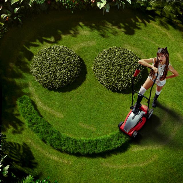 Album cover art for Ich lieb mich, ich lieb mich nicht