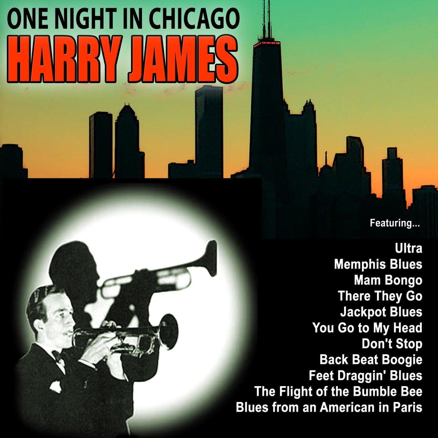 One Night In Chicago