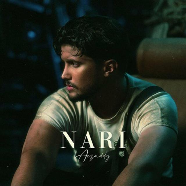 Album cover art for Nari