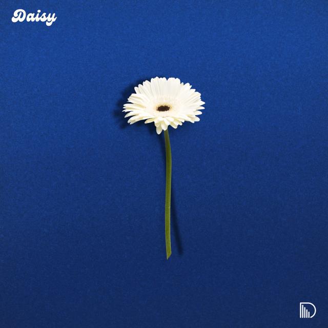 Album cover art for Daisy