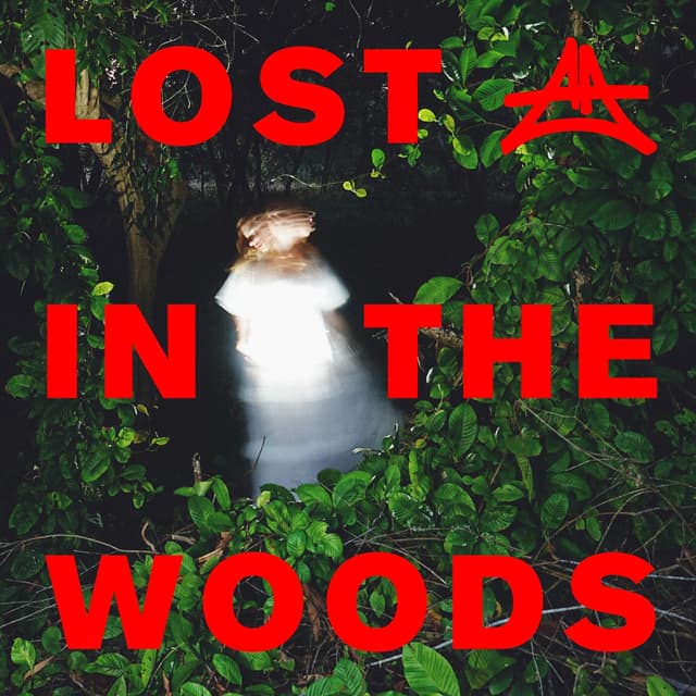 Album cover art for Lost in the Woods