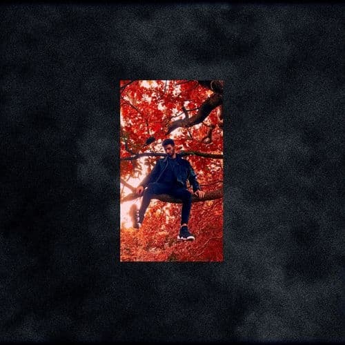 Album cover art for The MonoChrome Demos