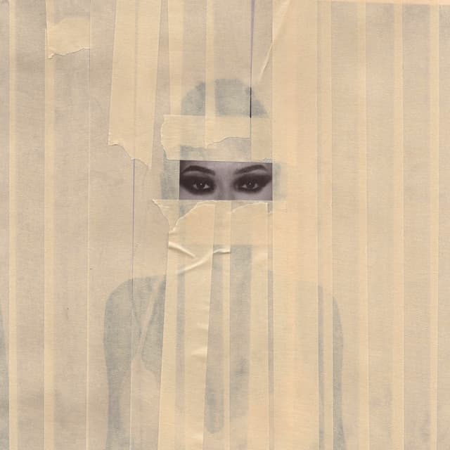 Album cover art for HABIBTI