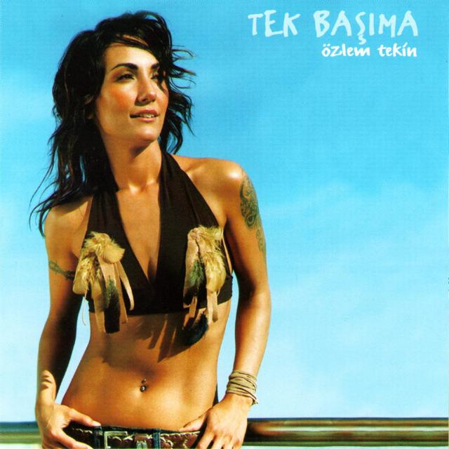 Album cover art for Tek Başıma