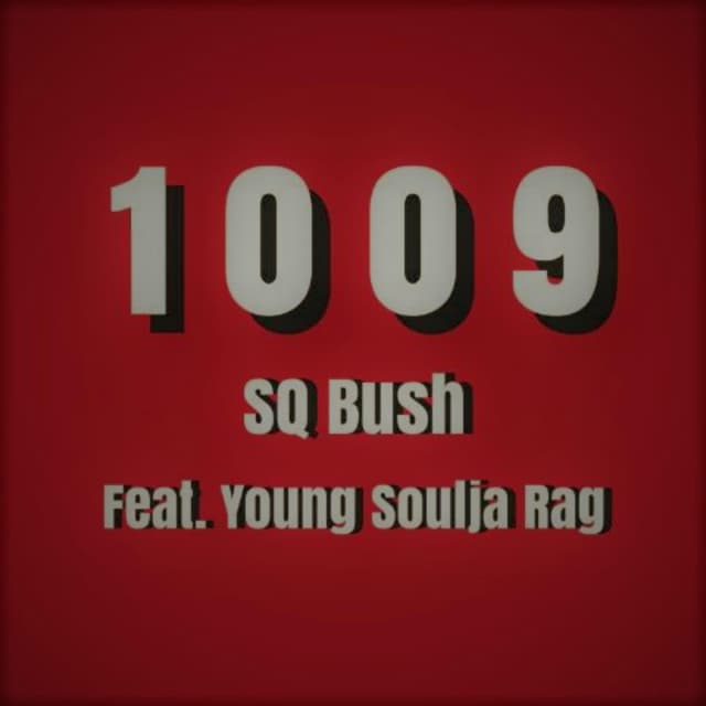 Album cover art for 1009