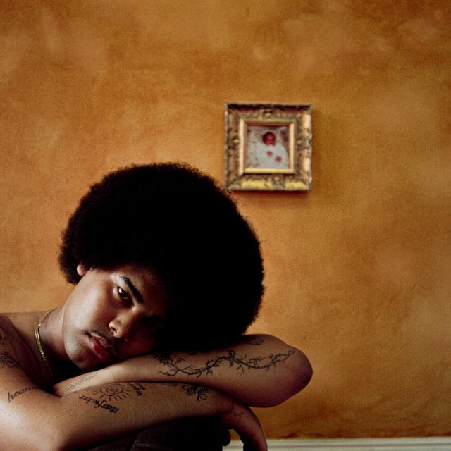 Album cover art for Catching Bodies